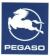 PEGASO Y SAVA