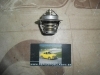 TER2031 TERMOSTATO 88º AUDI 50, DAEWOO LANOS, FORD CAPRI/ESCORT, VOLKSWAGEN POLO