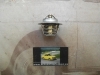TER2050 TERMOSTATO 89º RENAULT, OPEL, NISSAN, DACIA REF. FAE 5205089