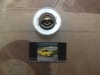 TER3066 TERMOSTATO 88º SAAB 90, 900, 99 REF. FAE 5306688