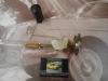 477004 AFORADOR CITROEN C8, AMI, DYANE GM-28 MOD.74
