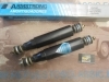AM231P3 JUEGO 2 AMORTIGUADORES DELANTEROS O TRASEROS AVIA 1500 , 2500 , ARMSTRONG