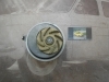 BA168 +p4 BOMBA AGUA OPEL ASCONA C, KADETT D/E 1.6 DIESEL. POLEA 62mm. 21DIENTES, CORREA 25mm, DOLZ O108, AIRTEX 1165D