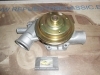 BA185 BOMBA AGUA CITROEN C32, C35, FIAT 242 2.2D/2.5D