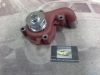 BA225 BOMBA AGUA FORD FIESTA MK2/3/4, ESCORT MK4/5/6, ORION MK2/3 1.8D VALEO 506529 - VKPC84620