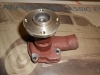 BA070 BOMBA AGUA CAMION Y TRACTOR EBRO 44, 48, 55, SUPER 55, 160