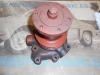 BA074 BOMBA AGUA PEGASO 170 HP