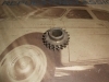D115 PIÑON DISTRIBUCION CIGÜEÑAL MINI, MORRIS 1.1, 1.3