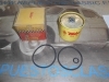 F035 FILTRO ACEITE PEGASO, BARREIROS, PERKINS