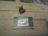 M10 MEMBRANA STARTER CARBURADOR WEBER 32 DIR RENAULT 5, 18, FUEGO
