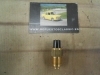 3203 TERMORRESISTENCIA 12V AVIA, SAVA, WILLYS - VIASA JEEP ROSCA 5/8 X 18