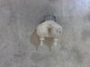 DS23 DEPOSITO LIQUIDO FRENO CON TAPON SEAT 128 DE OCASION