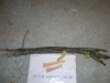 CABLE EMBRAGUE CITROEN DYNAM REF.2464