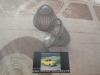 PI456P2 JUEGO TULIPAS PILOTOS REDONDOS BLANCOS LUZ POSICION MERCEDES Y OTROS MODELOS MEDIDA 71x55mm