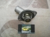 TER3029 TAPA CON TERMOSTATO 87º ALFA ROMEO 33 REF. FAE 5302987