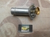 TER3234 TAPA CON TERMOSTATO 85º REF. FAE 5323485